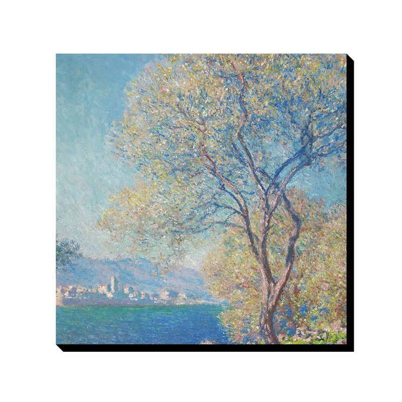 تابلو ترمه طراحان ایده طرح نمای آنتیب از لا سلیس از مونه کد art0246