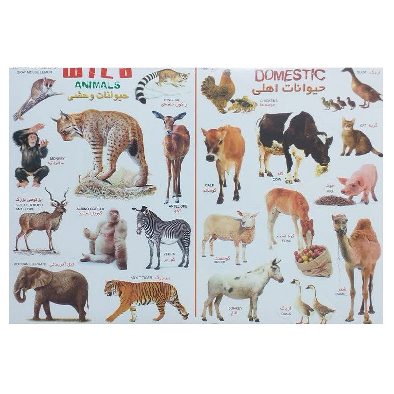 برچسب مدل حیوانات اهلی و وحشی کد 001