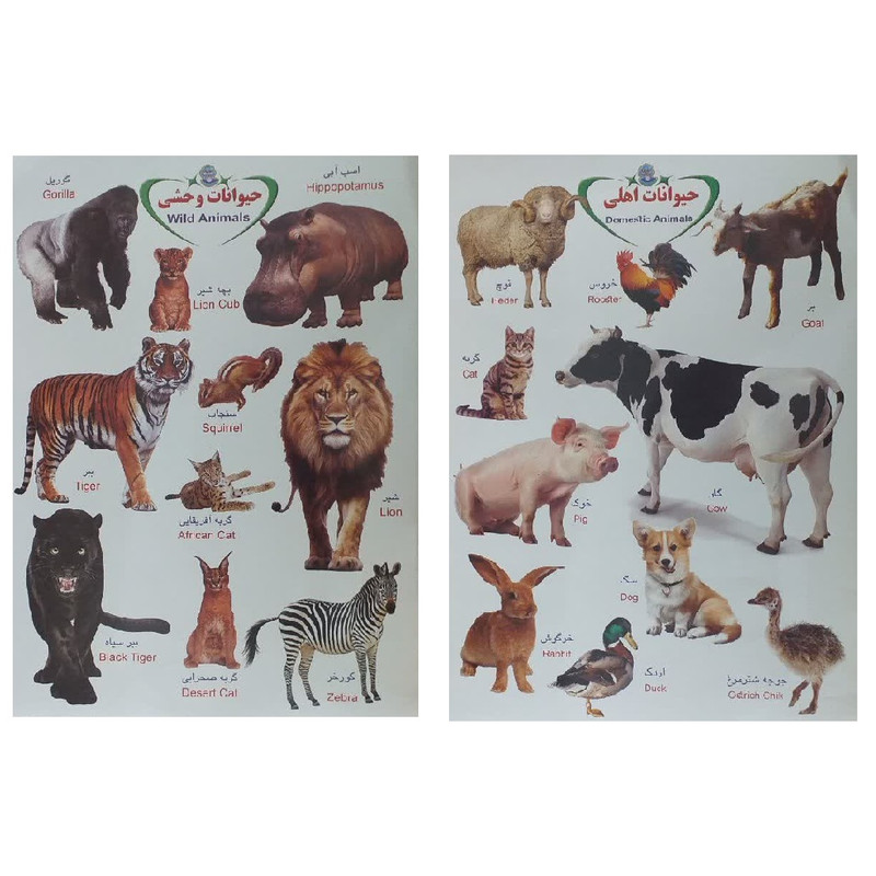 برچسب مدل حیوانات اهلی و وحشی بسته 2 عددی