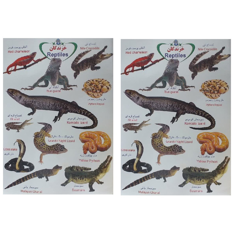 برچسب مدل خزندگان بسته 2 عددی