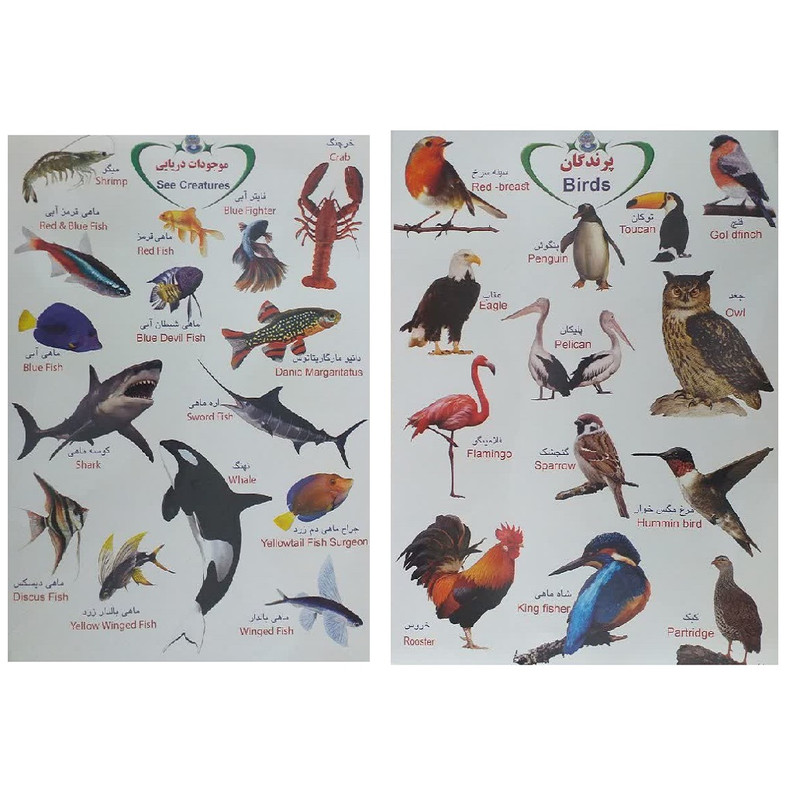 برچسب مدل ماهی ها و پرندگان بسته 2 عددی
