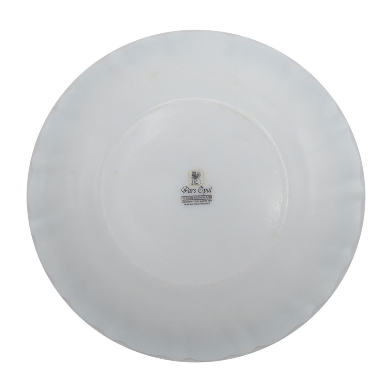 دیس پارس اپال مدل 124 درجه یک