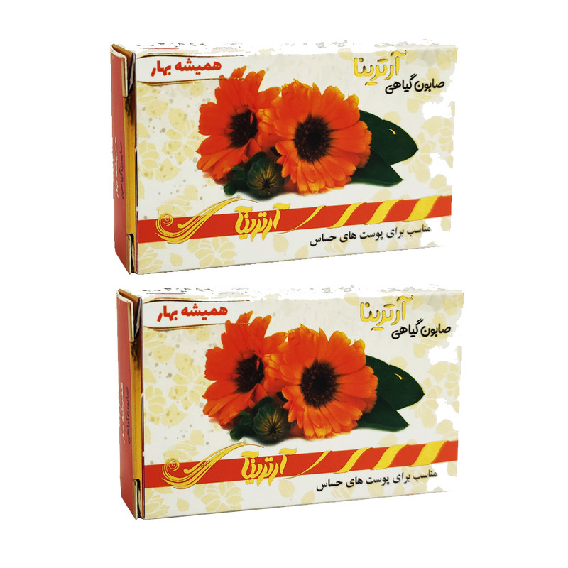 صابون شستشو آرترینا مدل همیشه بهار وزن 70 گرم مجموعه 2 عددی