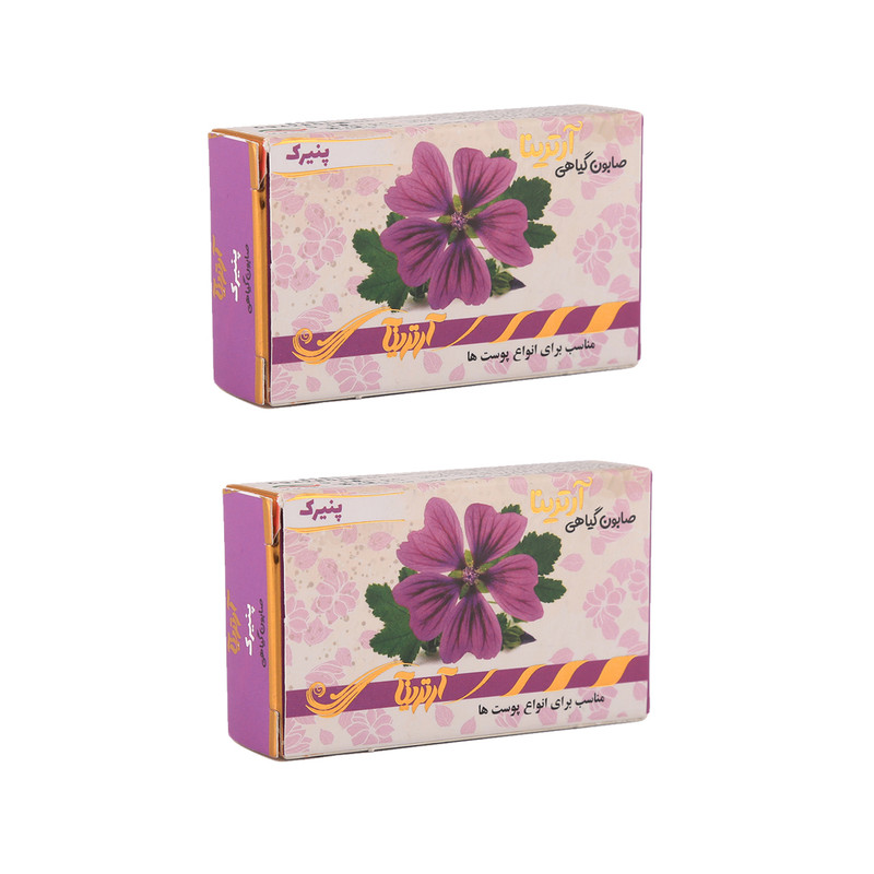 صابون شستشو آرترینا مدل پنیرک وزن 70 گرم مجموعه 2 عددی