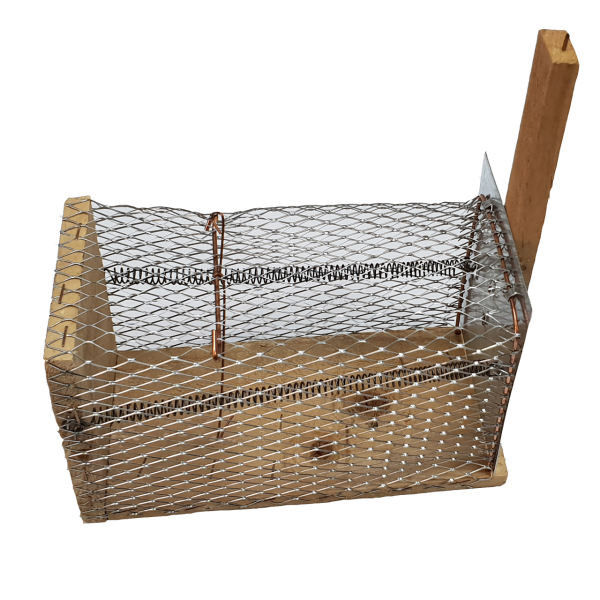 تله موش مدل قفسی ویژه