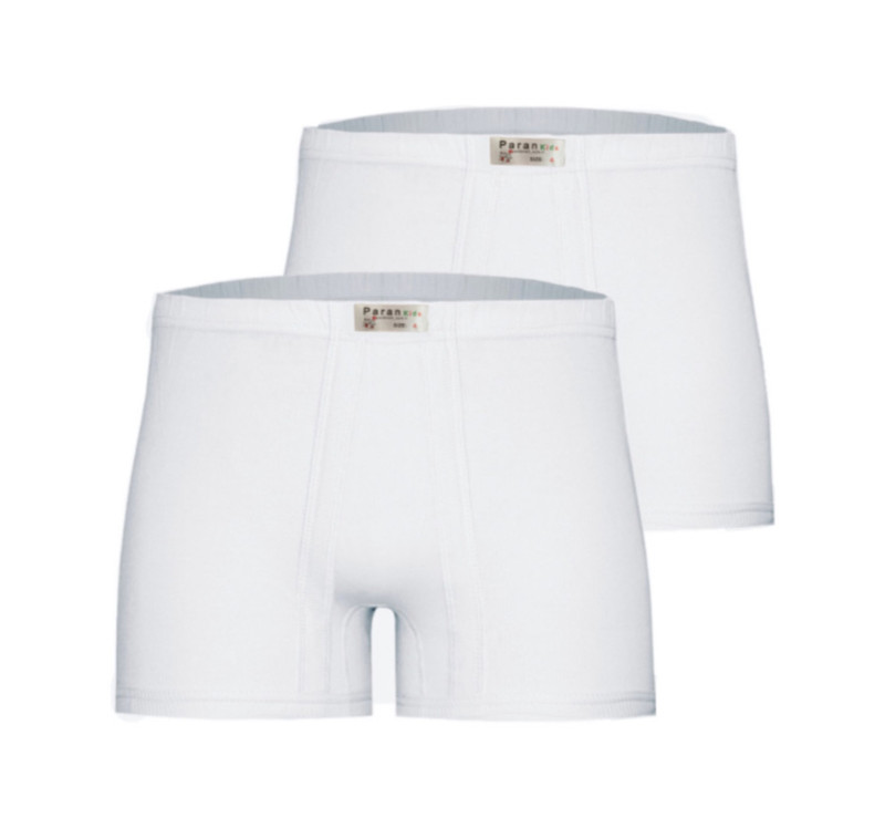 شورت پسرانه تولیدی پاران مدل صادراتی مجموعه 2 عددی