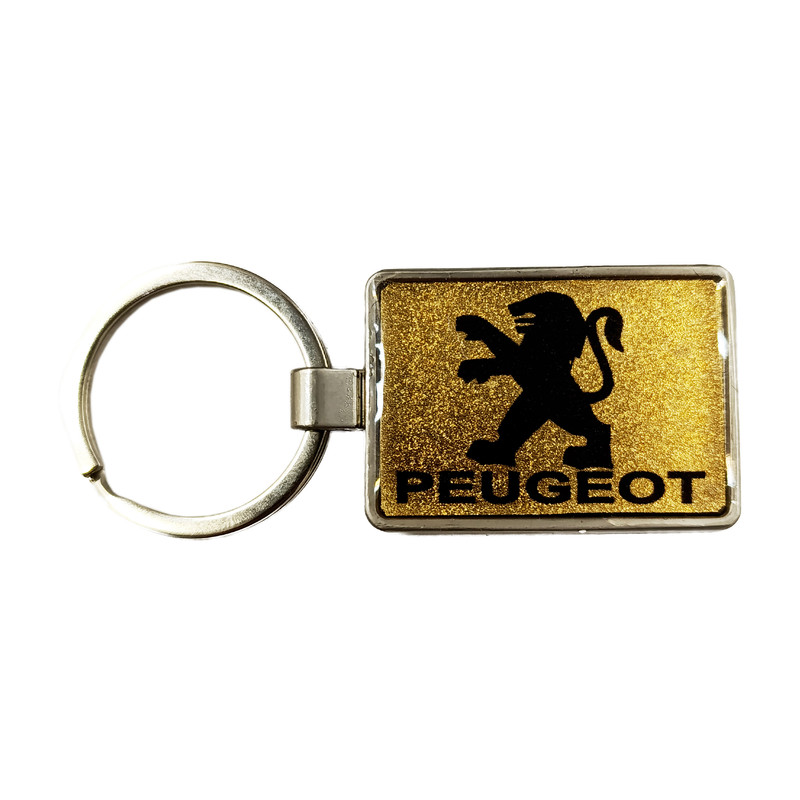 جاسوئیچی خودرو طرح پژو 