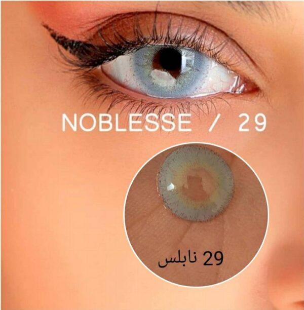 لنز رنگی نابلس شماره 29