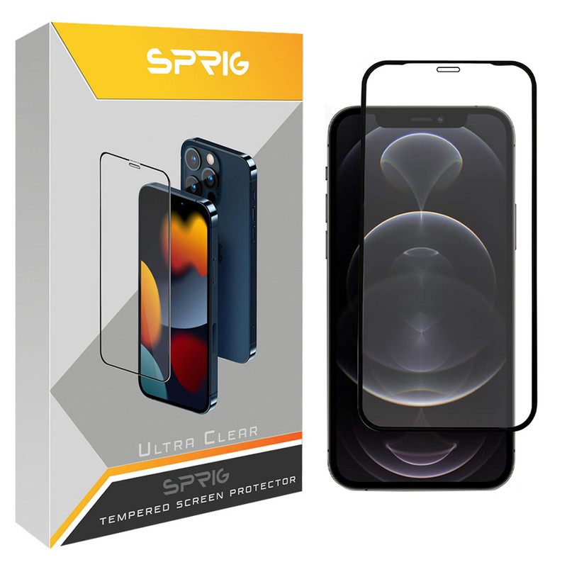 محافظ صفحه نمایش اسپریگ مدل FLSP مناسب برای گوشی موبایل اپل iPhone 12 Pro