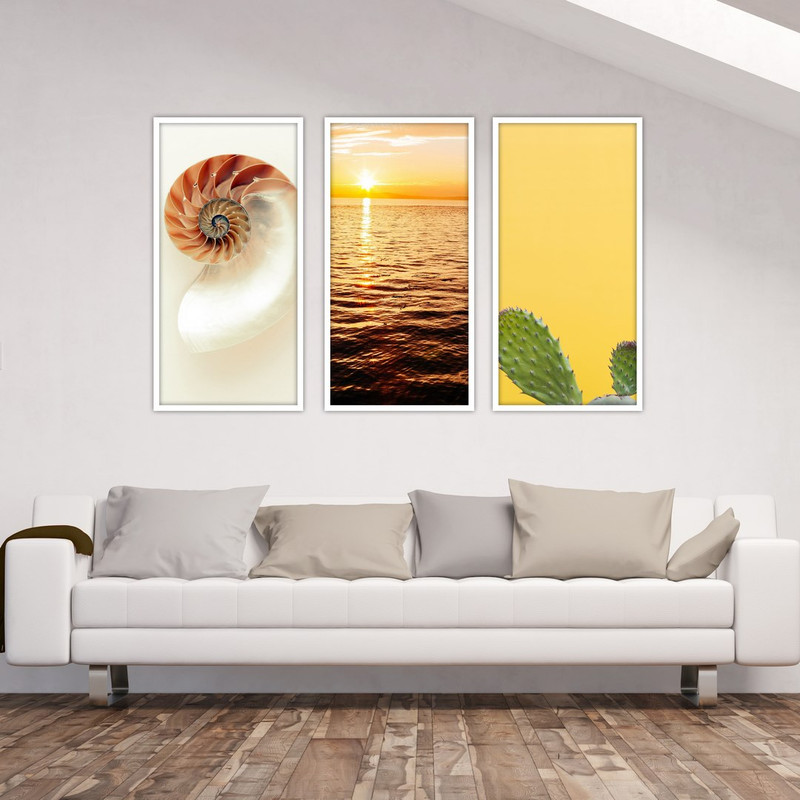 تابلو بکلیت طرح طلوع آفتاب و کاکتوس و حلزون مدل W-541 مجموعه 3 عددی