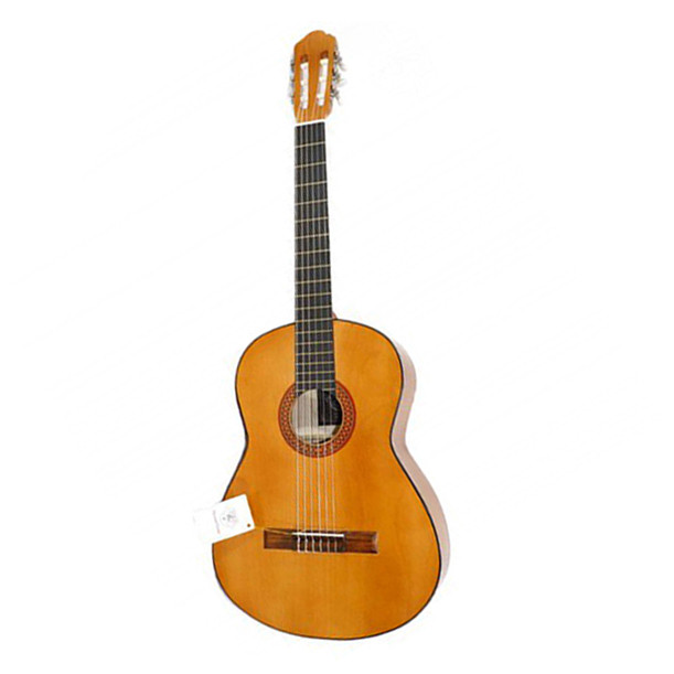 گیتار مدل DM