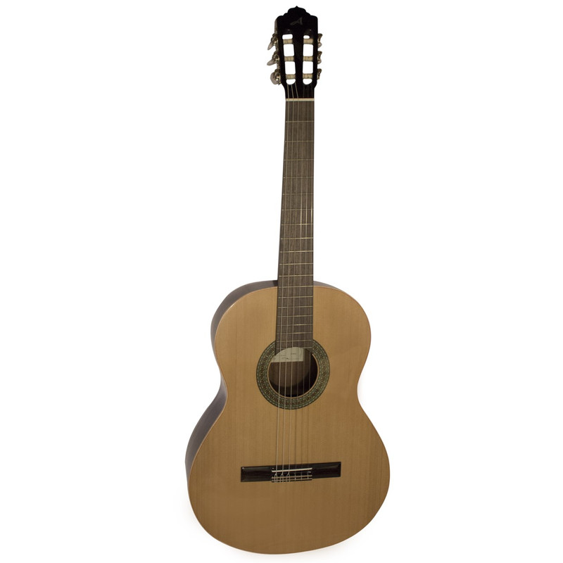 گیتار مدل ALMANZA 402