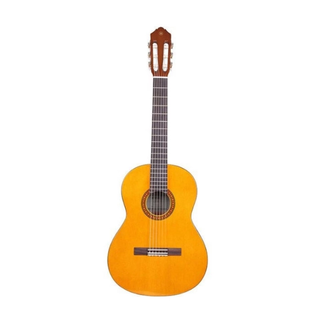 گیتار مدل پارسی P80