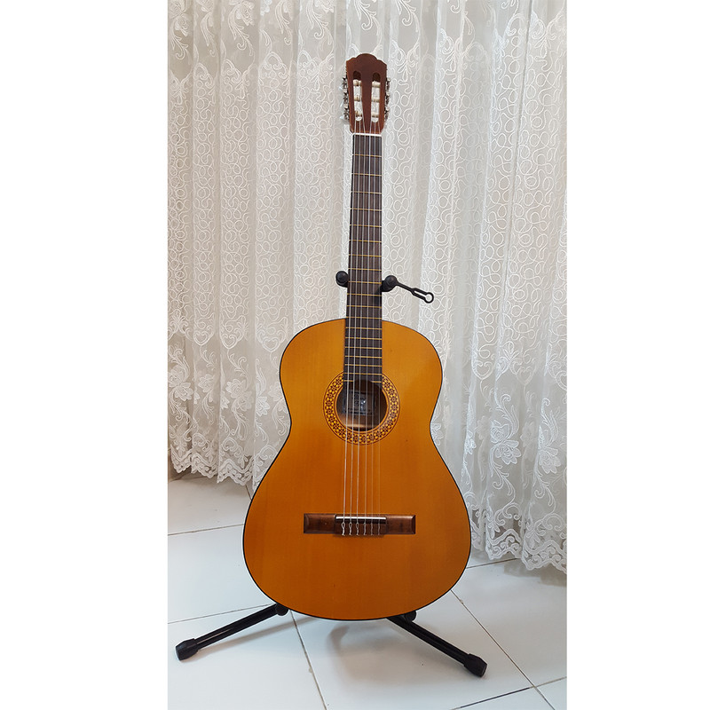 گیتار فرد مدل GF