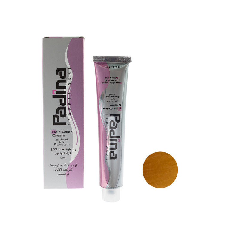 رنگ مو پادینا شماره H10 حجم 100 میلی لیتر رنگ عسلی
