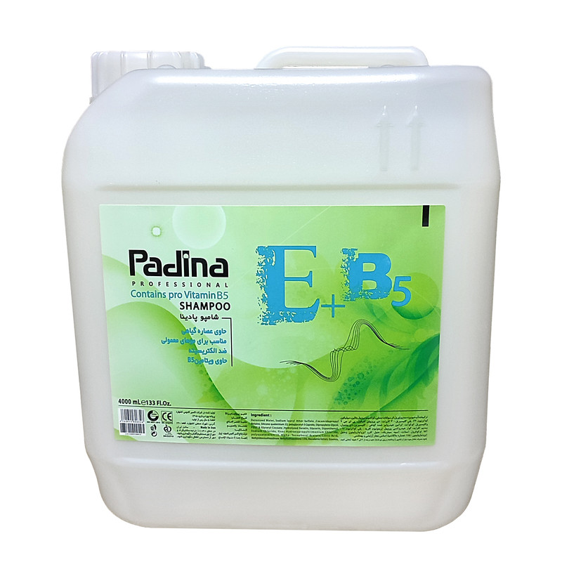 شامپو مو پادینا مدل E+B5 حجم 4000 میلی لیتر