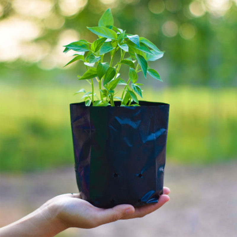 کیسه کاشت نهال  کد F25.16 بسته 30 عددی