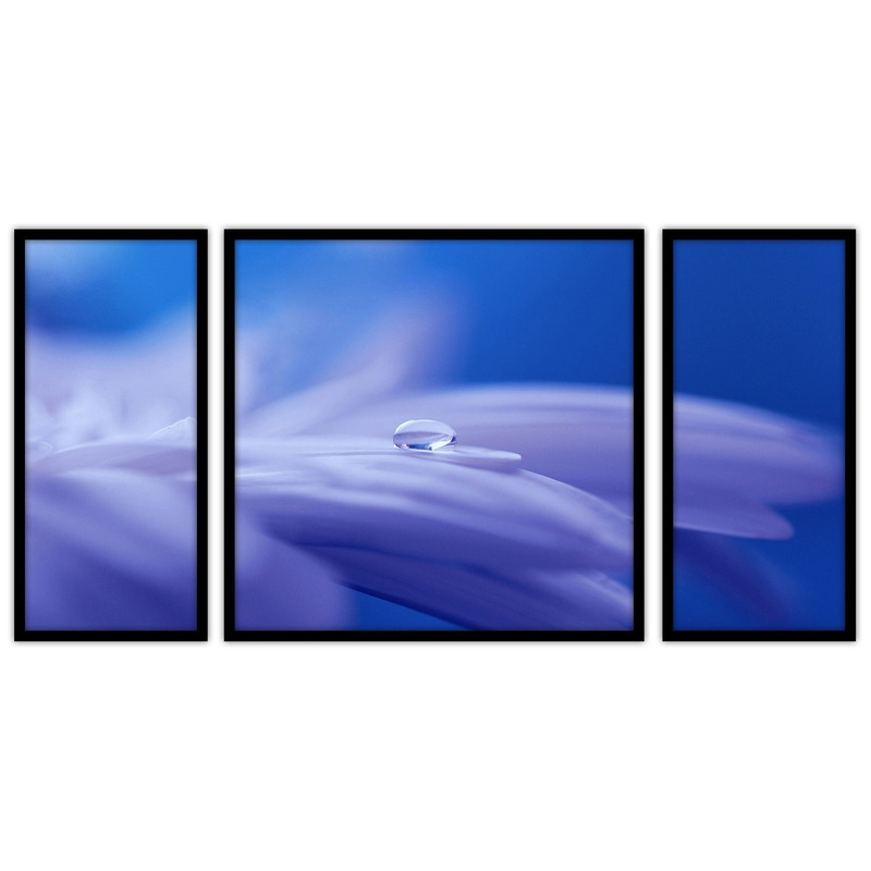 تابلو بکلیت طرح تصویر هنری گلبرگ مدل B-bu3530 مجموعه 3 عددی