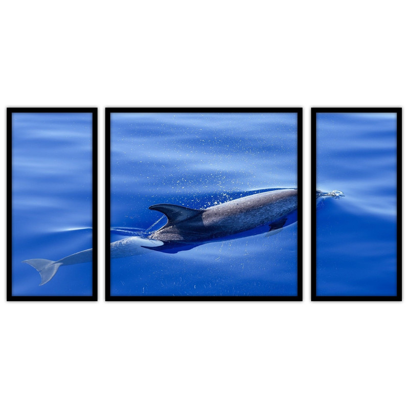 تابلو بکلیت طرح دلفین و دریا مدل B-bu3655 مجموعه 3 عددی