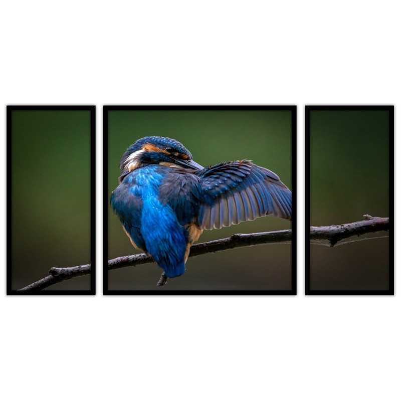 تابلو بکلیت طرح پرنده و طبیعت مدل B-bu3664 مجموعه 3 عددی