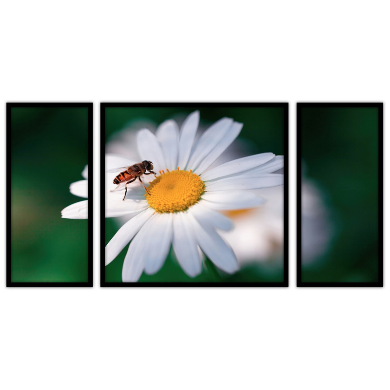 تابلو بکلیت طرح دکوراتیو گل  مدل B-bu3163 مجموعه 3 عددی