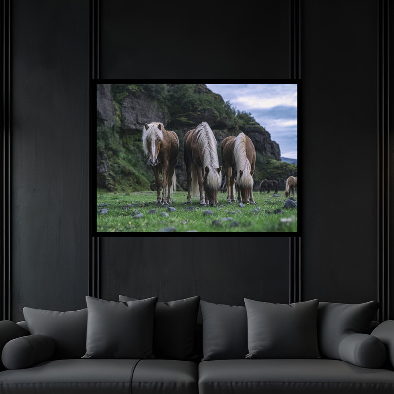 تابلو بکلیت طرح دکوری هنری طبیعت حیوانات اسب  مدل B-bu6580 فریم مشکی