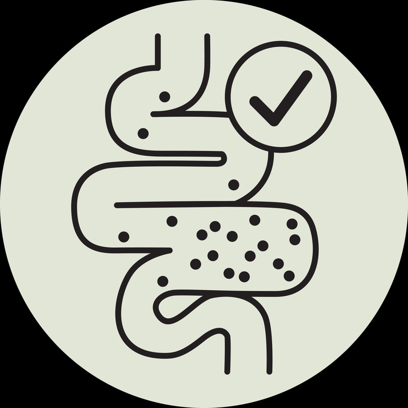 غذای خشک گربه جوسرا مدل GASTROINTESTINAL وزن 2 کیلوگرم