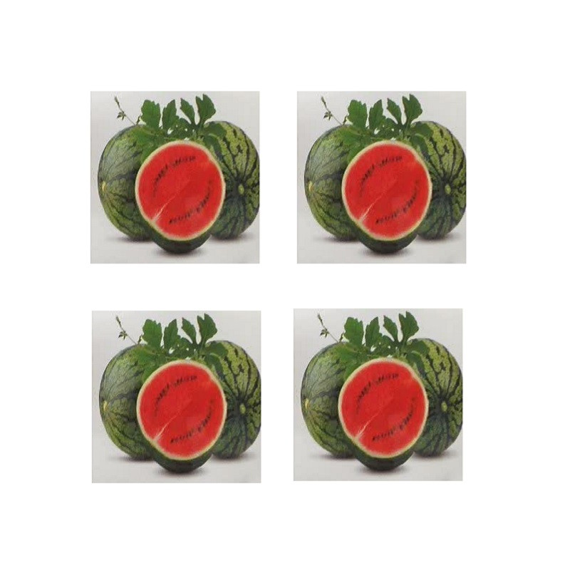 برچسب مدل هندوانه بسته 4 عددی