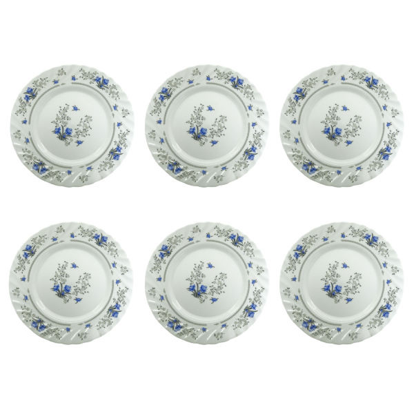 بشقاب
غذاخوری پارس اپال مدل 120 درجه یک بسته 6 عددی