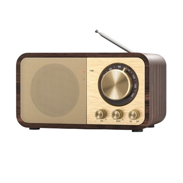 رادیو اسپیکر FM مدل JY-66 دارای پورت USB